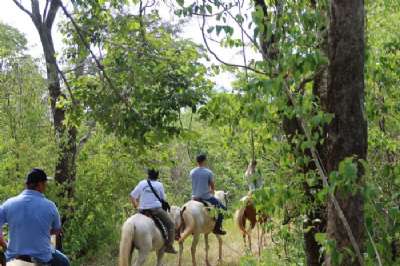 UeSo  Cavalgada 15.JPG